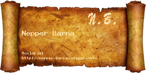 Nepper Barna névjegykártya